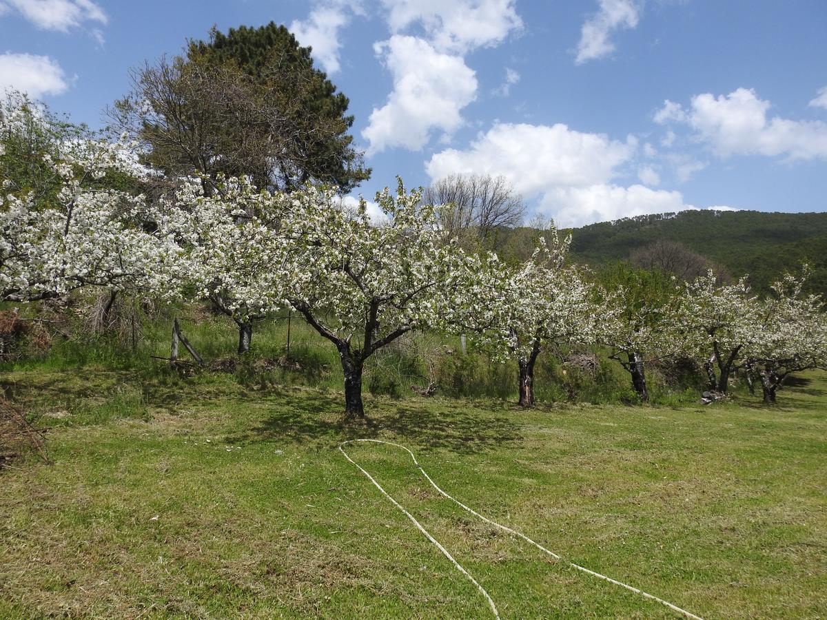 Casas Arbillas Arenas de San Pedro Buitenkant foto